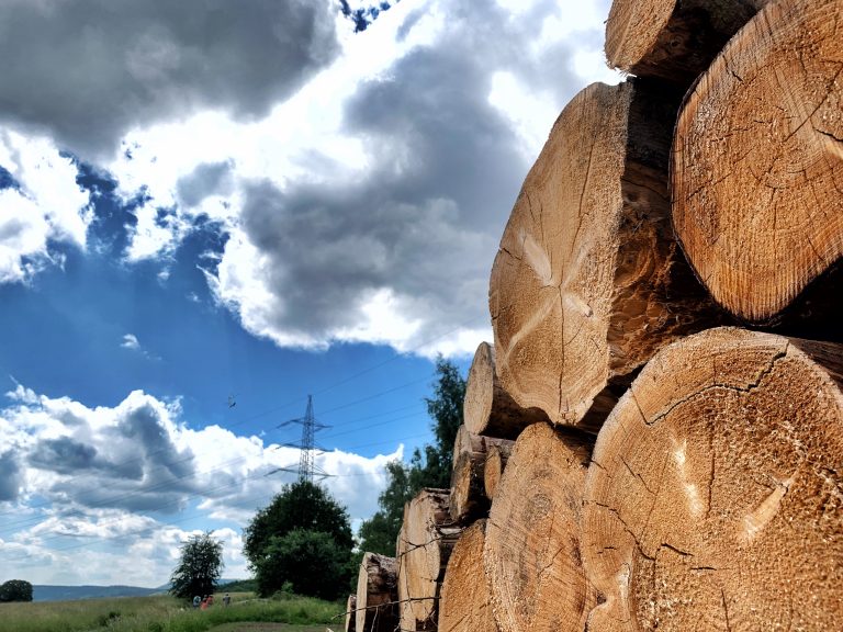 Stacked cut logs in the foreground with a power line tower under dramatic clouds